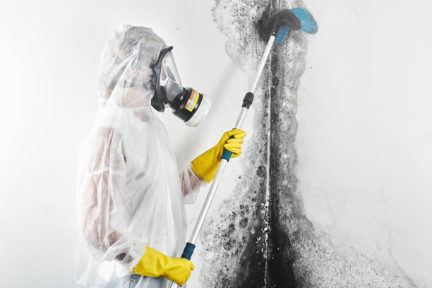 Best Water Damage & Mold Remediation  in Girard, KS