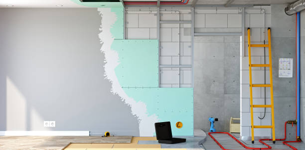 Best Commercial Mold Inspection  in Girard, KS