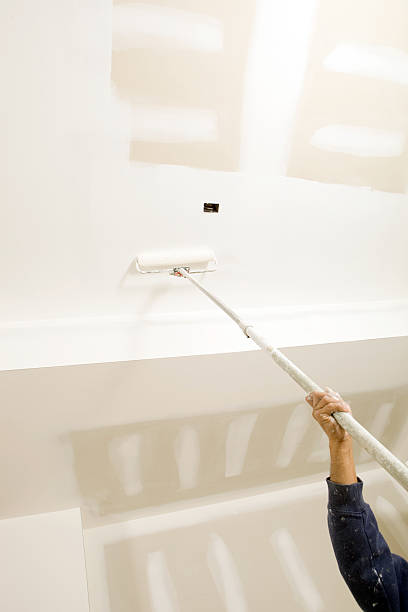 Best Black Mold Removal  in Girard, KS