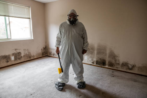 Best Comprehensive Air Testing for Mold Contaminants  in Girard, KS