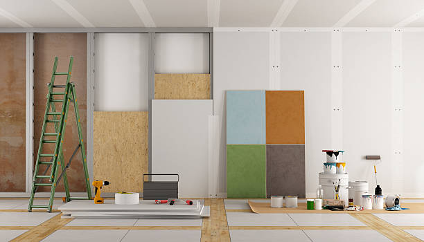 Best Basement Mold Removal  in Girard, KS
