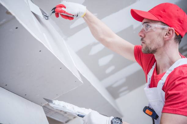 Best Basement Mold Removal  in Girard, KS